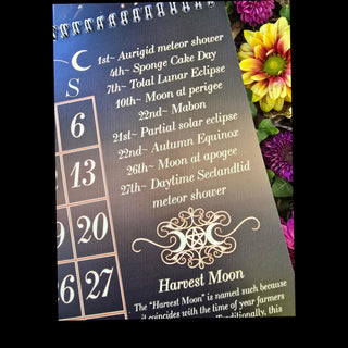 2025 Moon Phase Metaphysical Wall Calendar