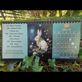 2025 Metaphysical and Moon Phase Altar Calendar