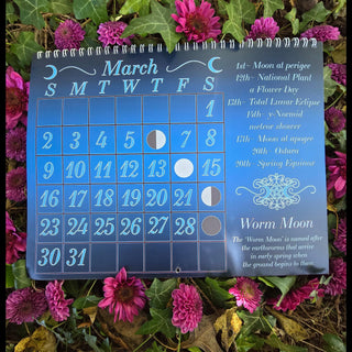 2025 Moon Phase Metaphysical Wall Calendar