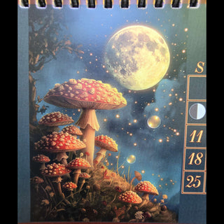 2025 Metaphysical and Moon Phase Altar Calendar