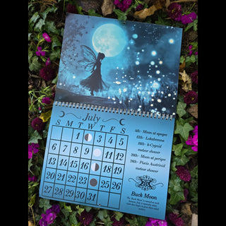 2025 Metaphysical Altar and Wall Calendar Set